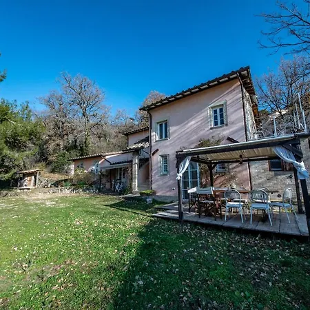 Da Bacchetta