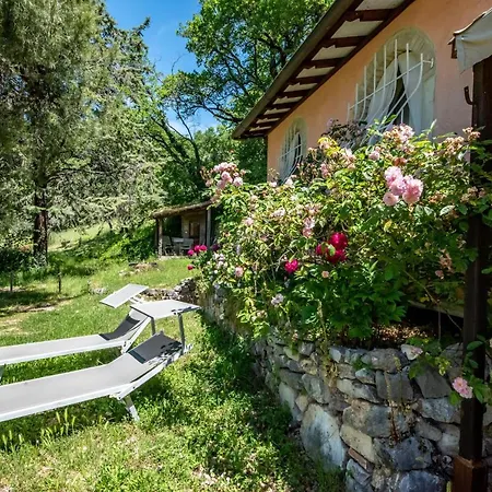 Da Bacchetta * אסיסי