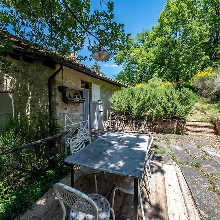 Daire Da Bacchetta *