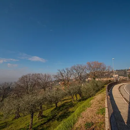 Da Bacchetta Assisi