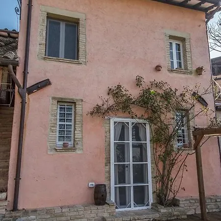 Da Bacchetta אסיסי