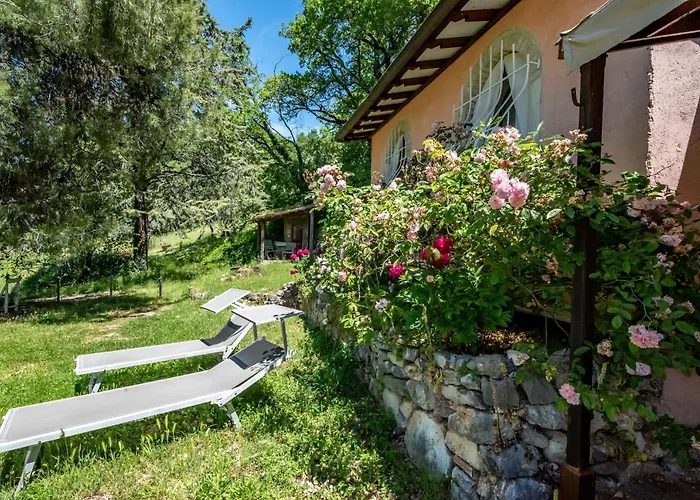 Da Bacchetta * Assisi