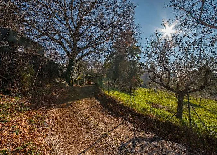 Διαμέρισμα Da Bacchetta *