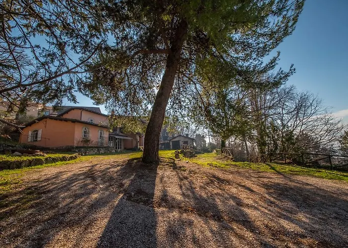 Da Bacchetta Apartment Assisi